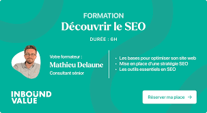 audit seo