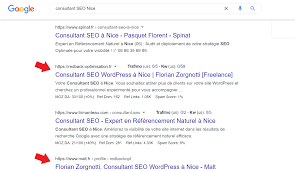 expert en référencement