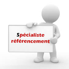 spécialiste référencement