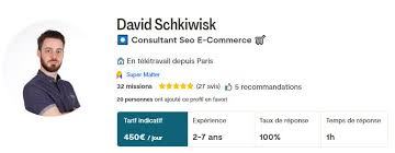 consultant référencement naturel